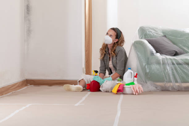 Reliable Mold Cleanup contractor in Dunellen, NJ by Cheap Mold Removal